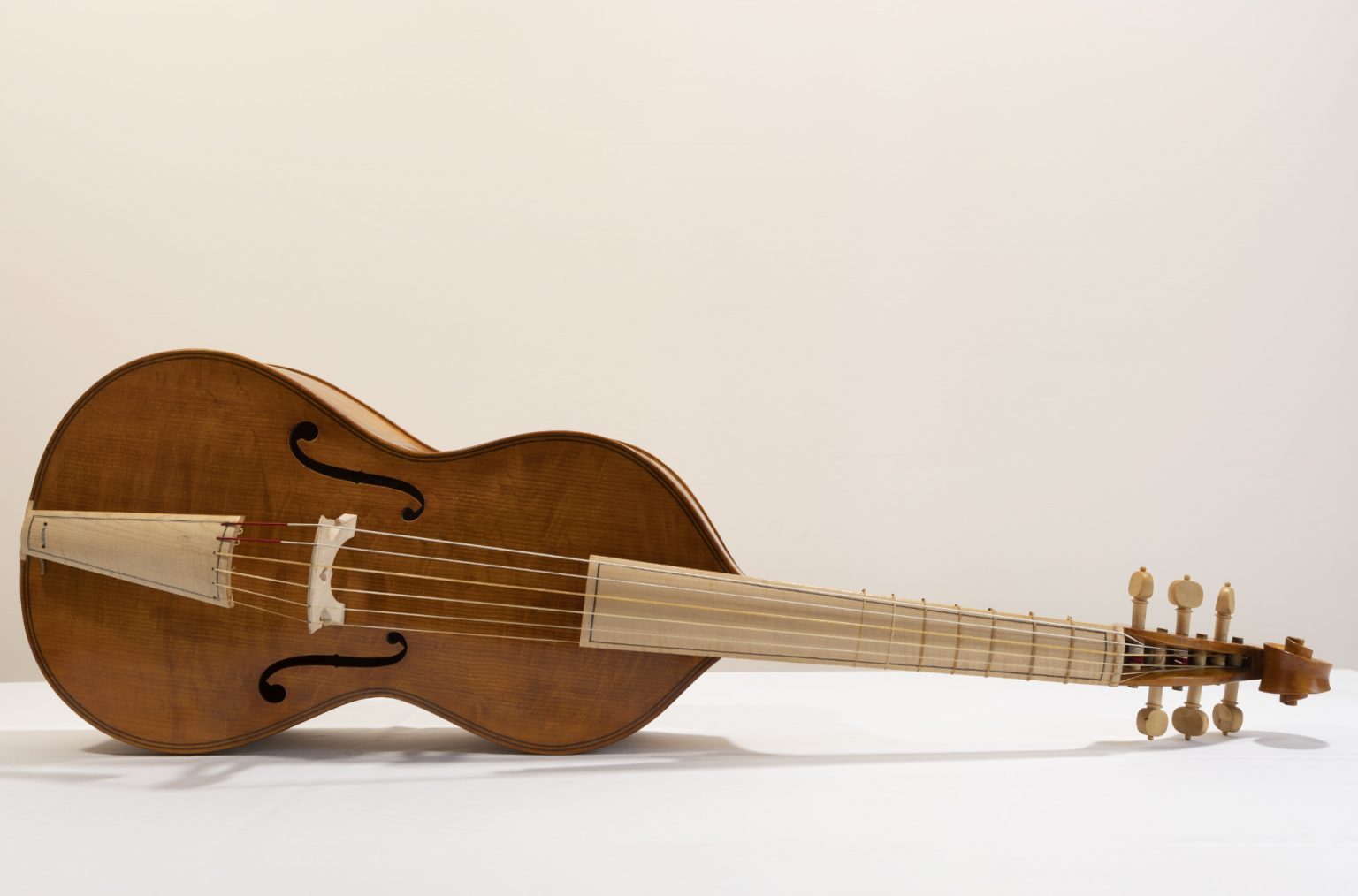 Che cos'è la Viola da gamba? Quali caratteristiche ha? Che storia ha?